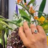 Emerald Diamond Platinum Halo Ring 7518-4916 - Image 2