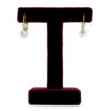 Diamond Platinum 18k Pendant Earrings 11517-2302 Image1