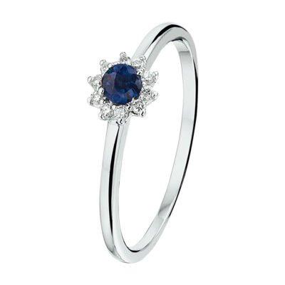 Diamond Sapphire 14k Halo Ring 18497-9535 Image1