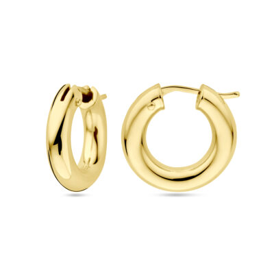14k Creole Earrings 19143-9725 Image1
