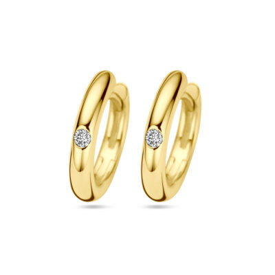 Diamond 14k Creole Earrings 19241-9776 Image1