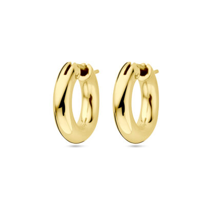 14k Creole Earrings 19242-9777 Image1